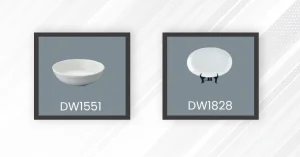 Porcelain Dinner Set